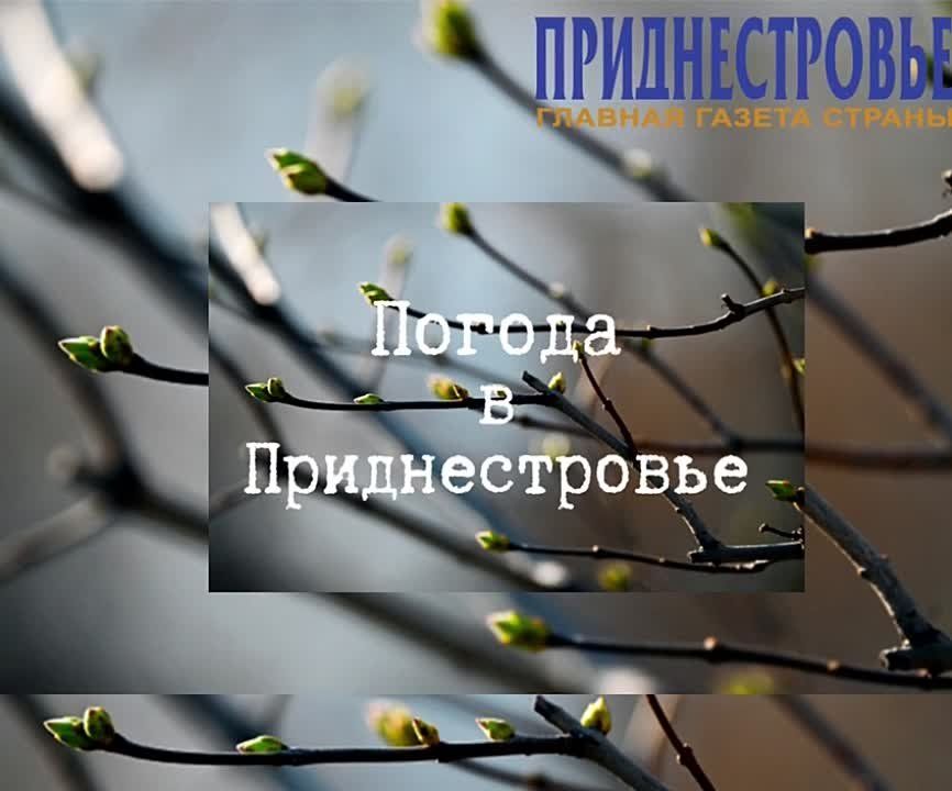 23 ������ ��������� ���������� ����������, ������� ������� ��������������� �����