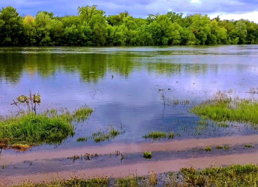 ��������������� ������� �� 23 ������ 2024 �