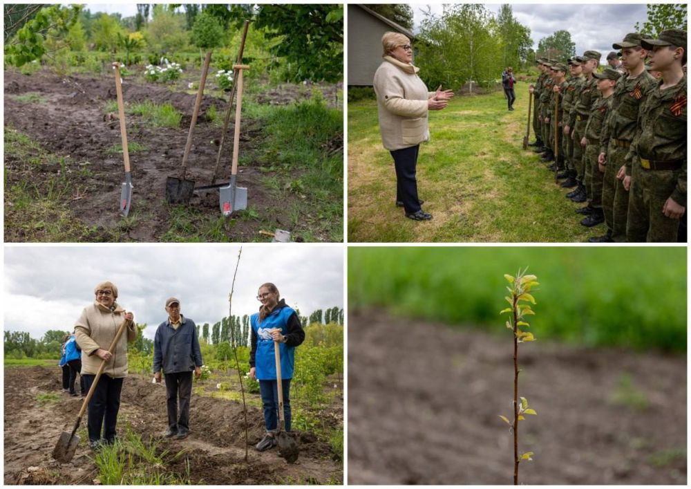 Международная акция «Сад памяти» в третий раз прошла в ботаническом саду ПГУ