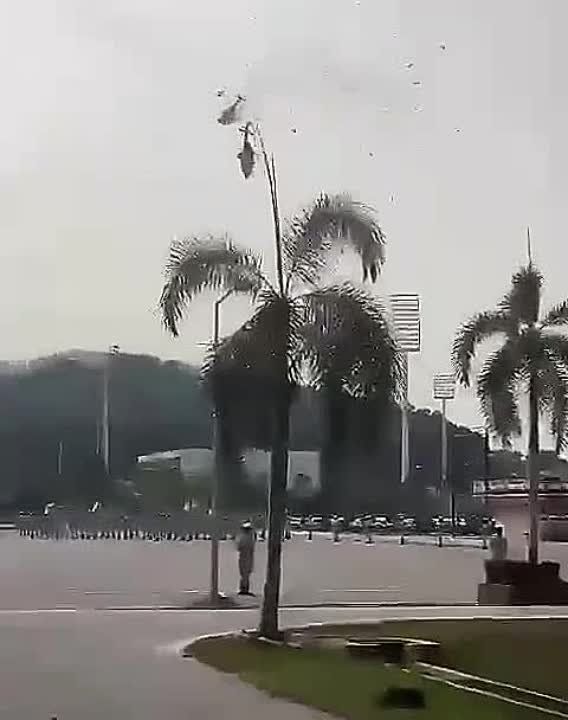 ��� ������� �������� ����������� � ��������