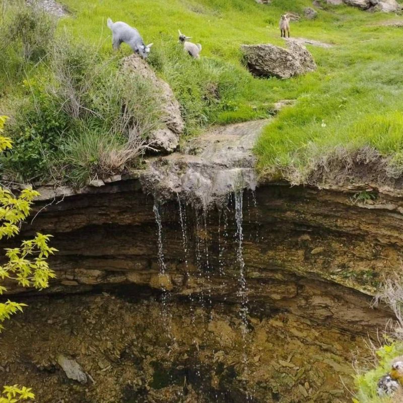 ������������� ���� ���� ������������� ������