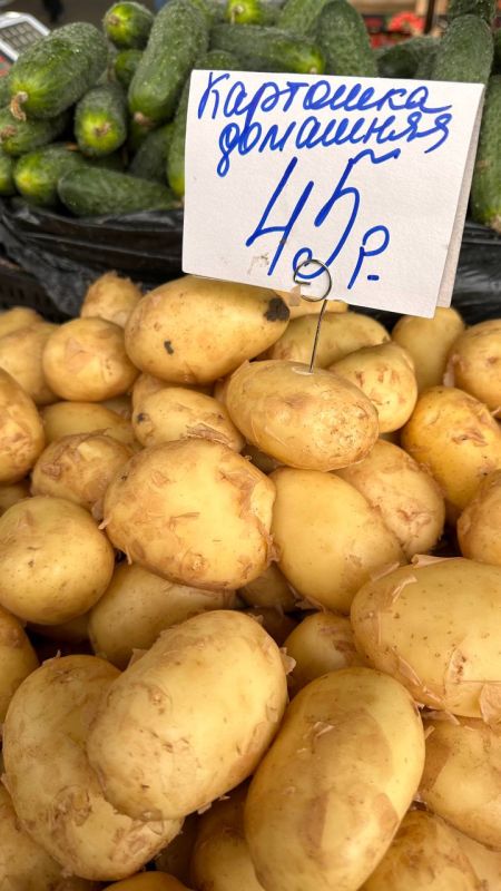 ���� ������� ��������, ���������, ����� ��� ���