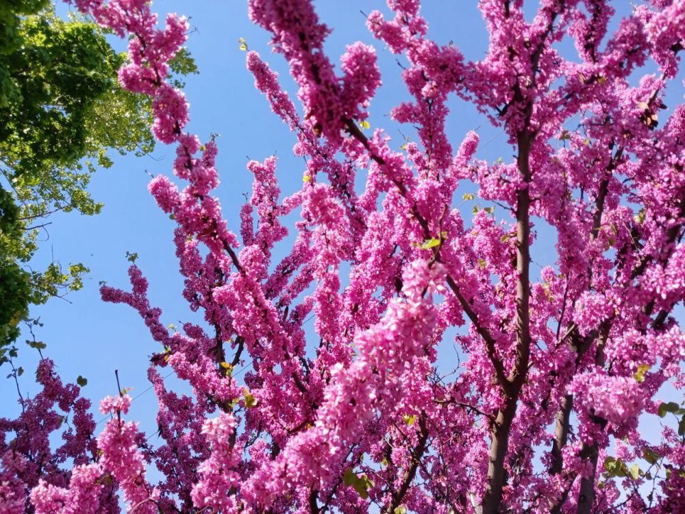 ��� ������� ����� ����� 18 �����