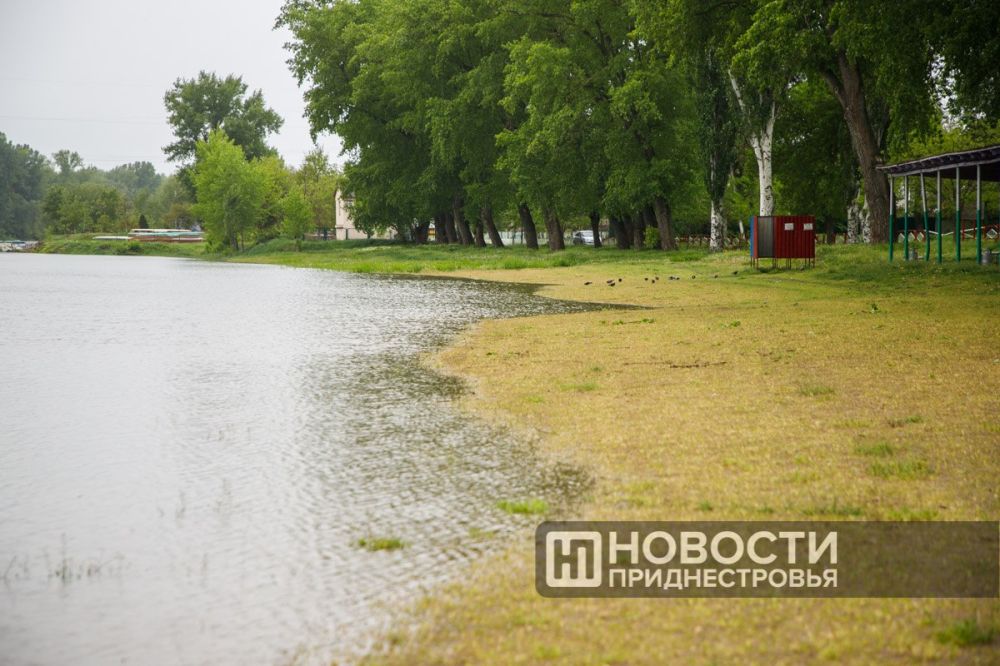 ��������� ���� ����� �������, ������ � ������������� �� ������, ����� �������� � �����