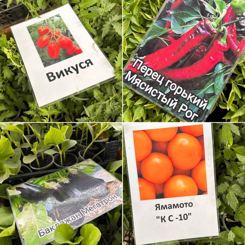 �� ����� ��������� ������� ������� ��������, ����� ��������� ��� � ���������� ����������