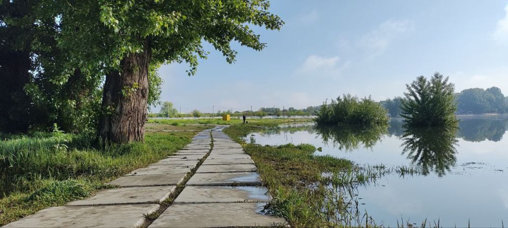 ��������: 24-26 ������ ������ �������� ��� 1 - 2,5 ����� �� ������ �� ���������������