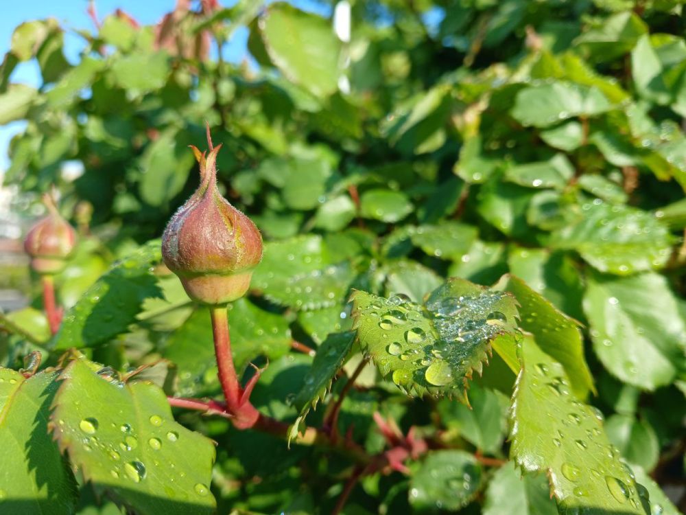 �������-�� ����� ����������! �� ������ ������ � �����������