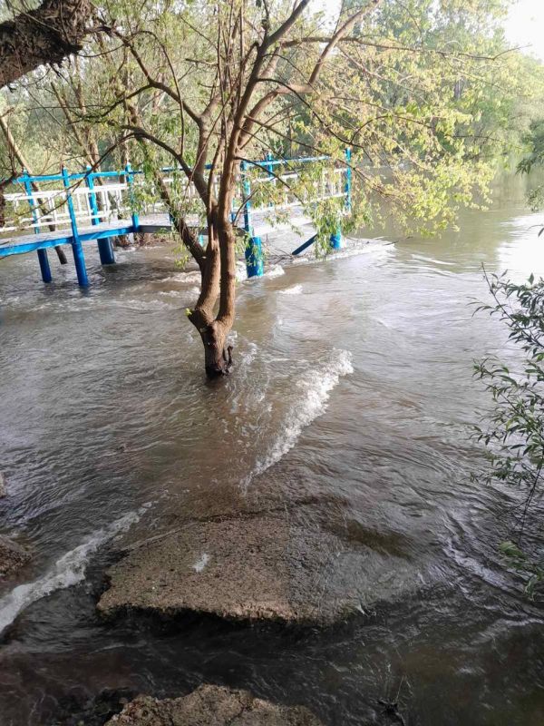 � �������� �� ��������� �������� ��������� ��������