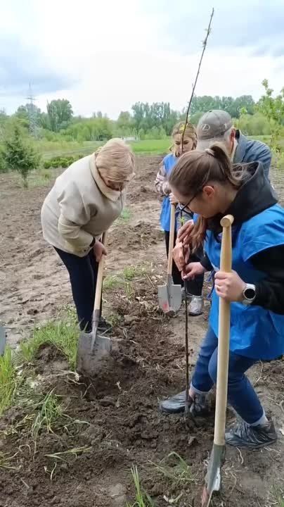 «Деревце, давай расти и приноси плоды»
