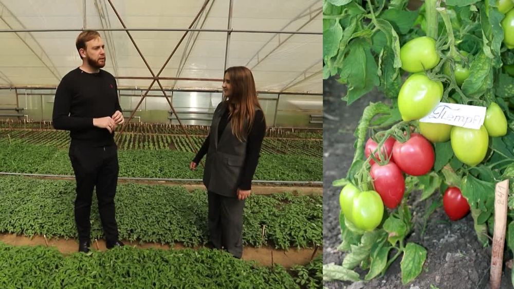 ������ "ϸ��" � ��� ������ ��� ������. �������, ������������ �����, �����-�������