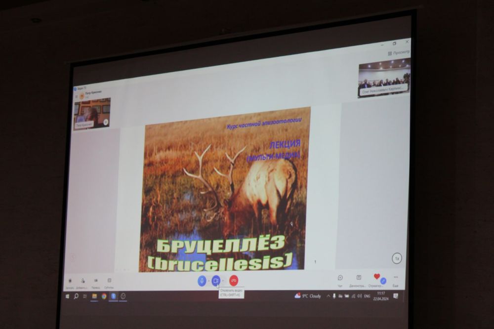 ���������. ����������� ��������� ��������