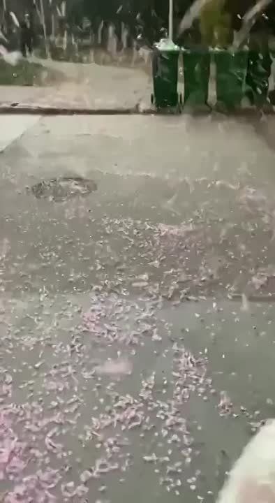 ��� �������� �������� ������ � ����