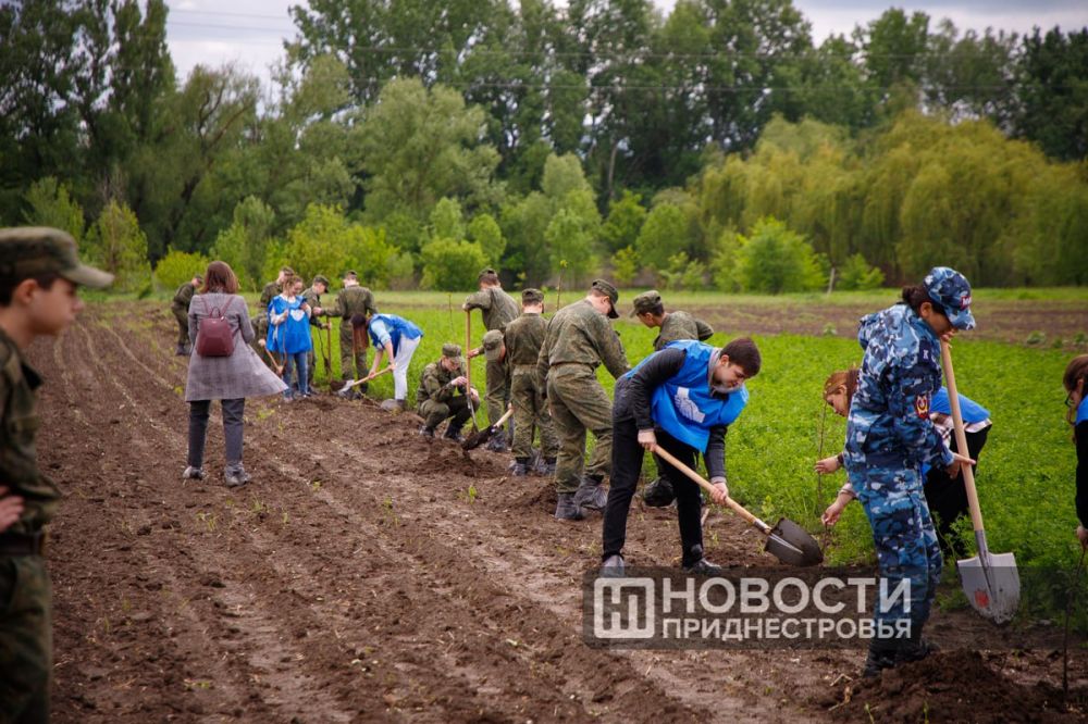 ��� ������ � ������������ ���� ���������������� ��������������� ������� ���������, �������� ������������ � ���� ������� �����