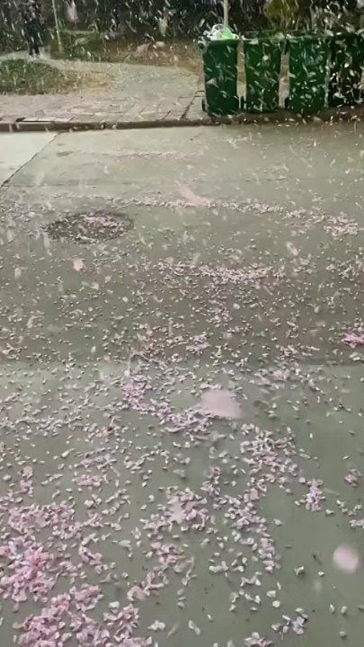 �� �����-������ ������ ������ �� ��������� ������? ������ �������