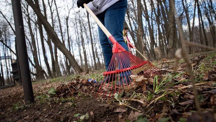 � �������, 26 ������, � ��������� ������� ������������� ���������