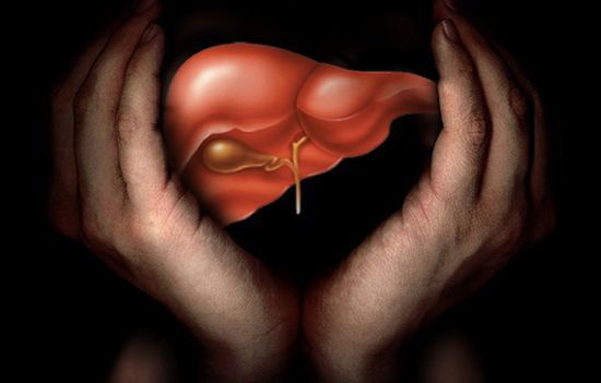 ������������� ����������� ���������