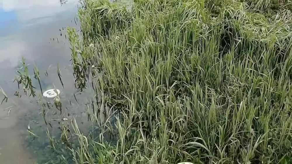 �� ���������� � �������� ���� ������� � ������� �������