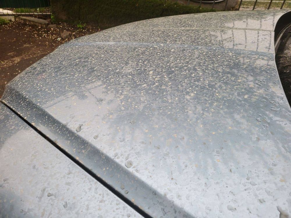 � ��� ����� ���������� �� ������ ��������