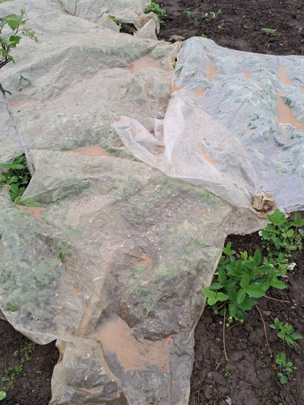 � ������� ������ ����� � ������ �� ������