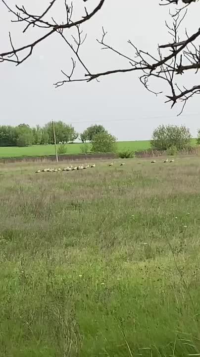 �� ���� � �������� ��� ��������� ���� ������� ������� ���� ������