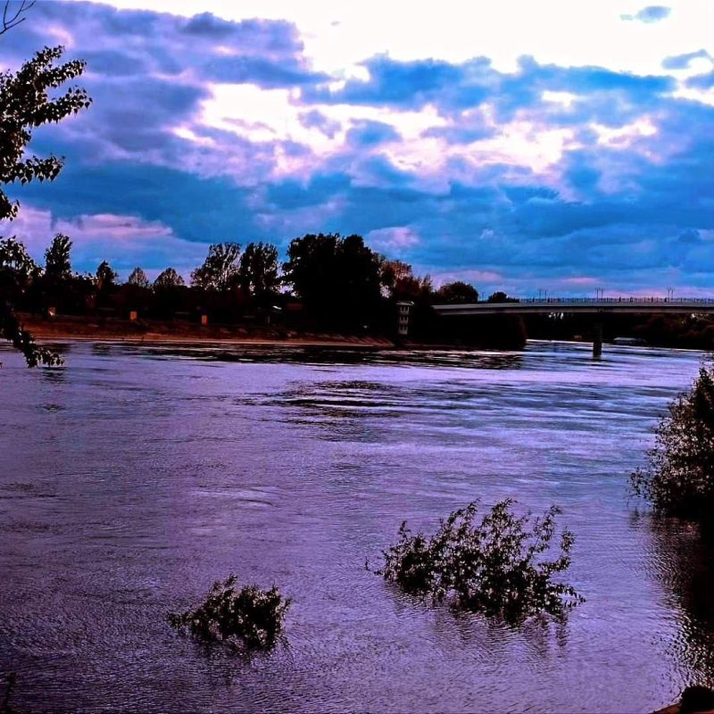 ���������. ����� �������� ���� ��� �� 1, 5 - 2, 5 �����