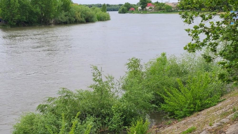 ��� ����� �� ������ � ��������: ���� ����� �� ������ � ������� ����� ������ ������, ������� � "�������" �� ������