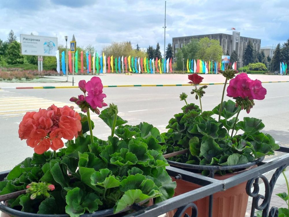 ����� � ���������� �������� � ������� ���������� ����������� �������