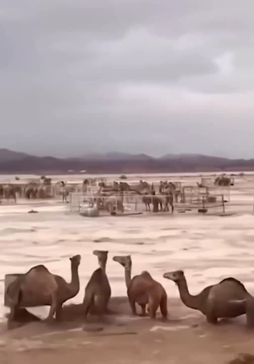 ���������� � ���������� �������