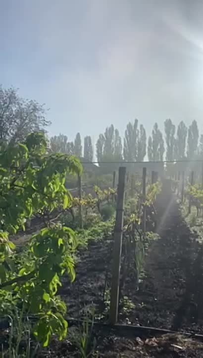 ���� � �������������