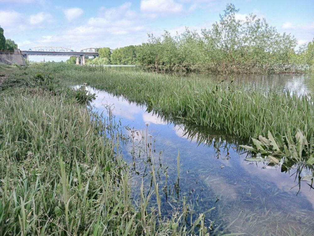 ��� ������� ��������� ����� �� ����� �� � ��, 25 ������ ��������� ���������� ����������, ���� ������� ��������������� �����