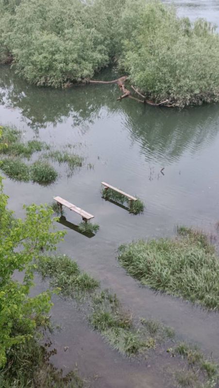 � �������� ���� ��� ����� ����������� � ����������