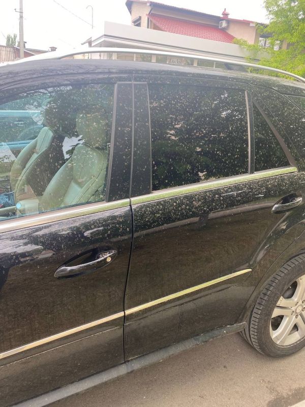 ��, � � ��������� ���� �����