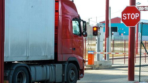 �������� ������ ���������� ���������� �� 1 ������� 2024 ���� � ����� �������� �������� ��������� � ���������� ����������