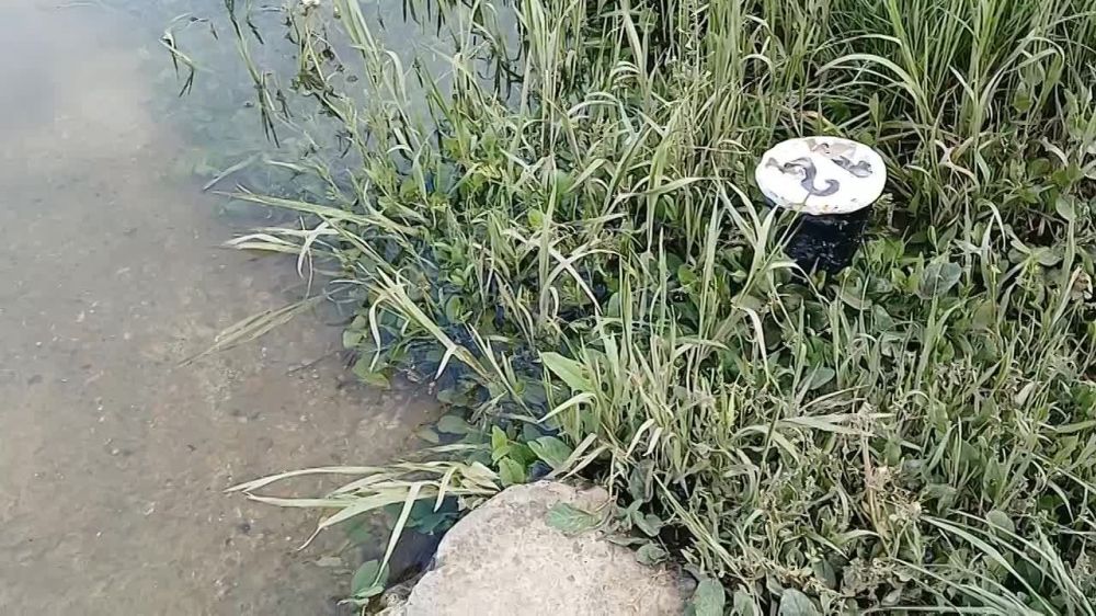 �� ���������� ���� ��� ������� � ������� �������