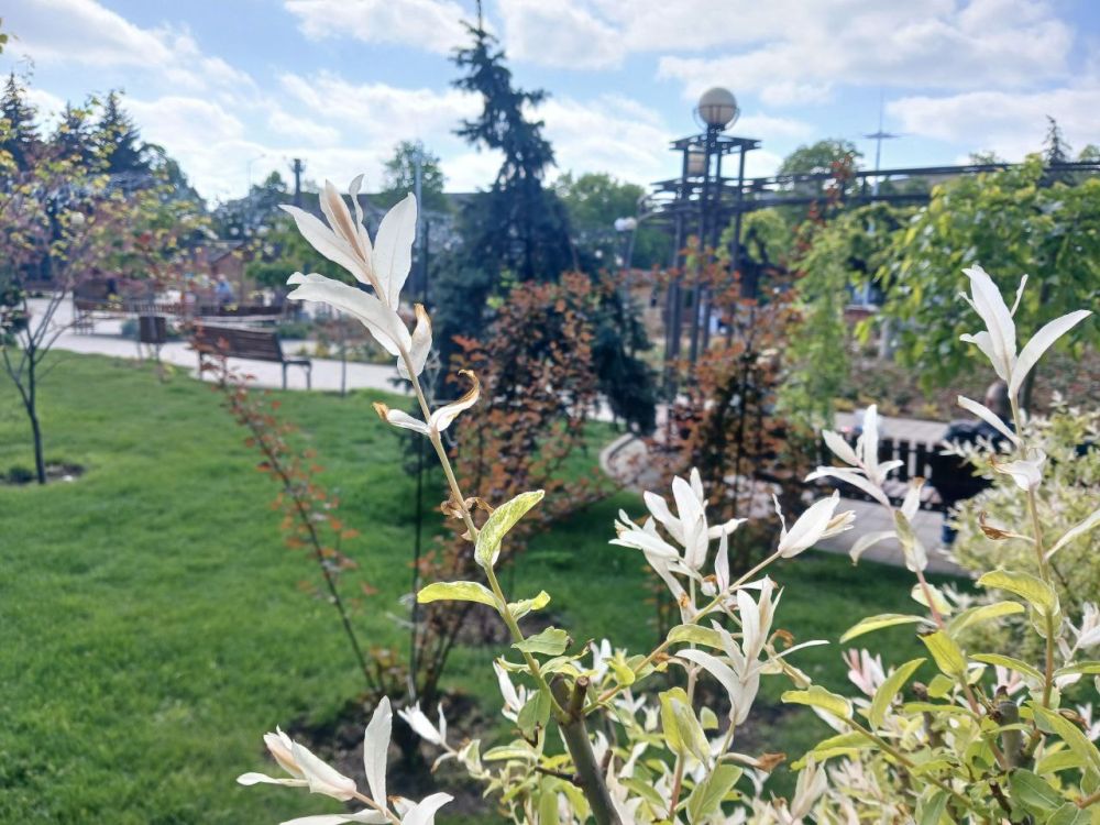 ������ �������� ������� - � ���������� �������� ���