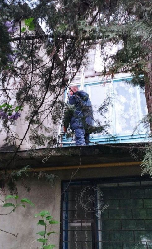 ��������: ����� ���!. �����, 24 ������, �������� ������� � ����� ��� ����� ����� �� ���� 5-�� ����� � �������. ���� ��...