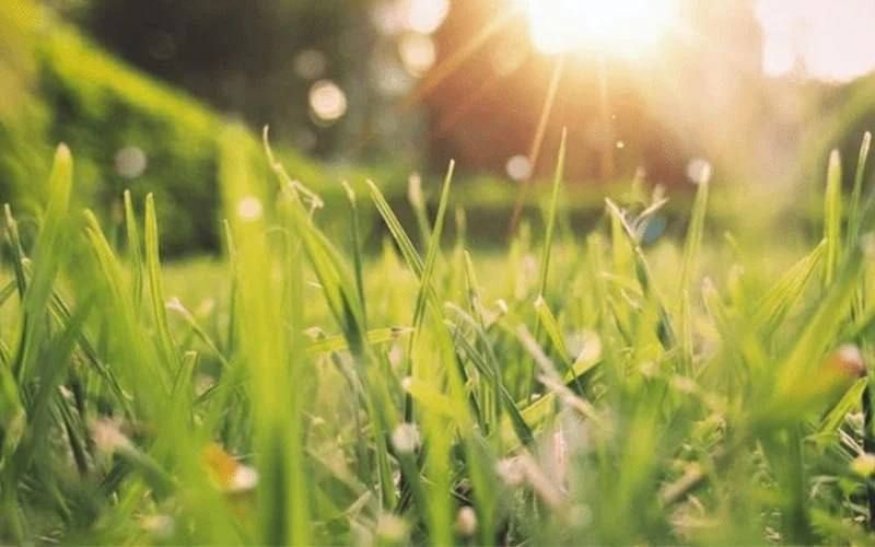 � ������� ��������� ������ ���� � ��������� ������� ��������������� �����, �� ���� ����� ����� � �� +25 �� ����, ����� �� +12 ��. �����, ����� �� �������� �������� ������� ���������