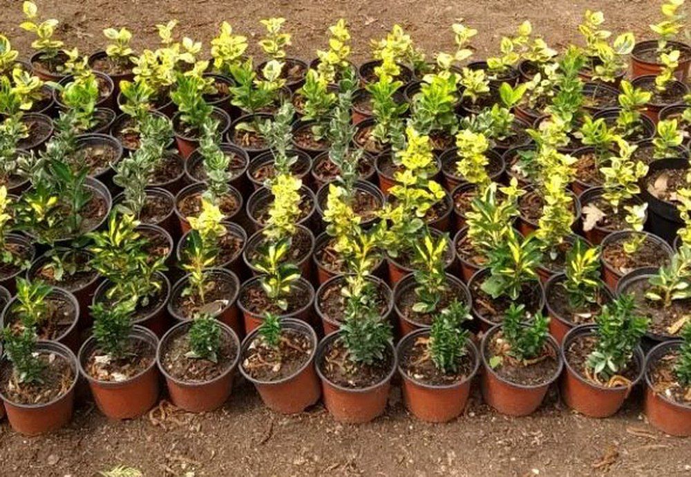 ������� �� ���������������� �������