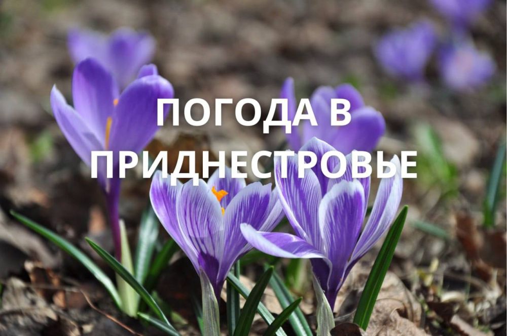 25 ������ ��������� ���������� ����������, ���� ������� ��������������� �����