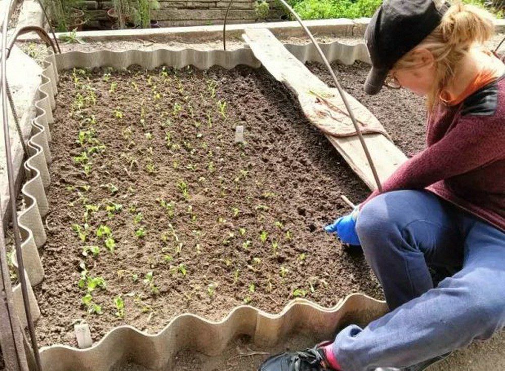 �������� ������ � ��������������� �������