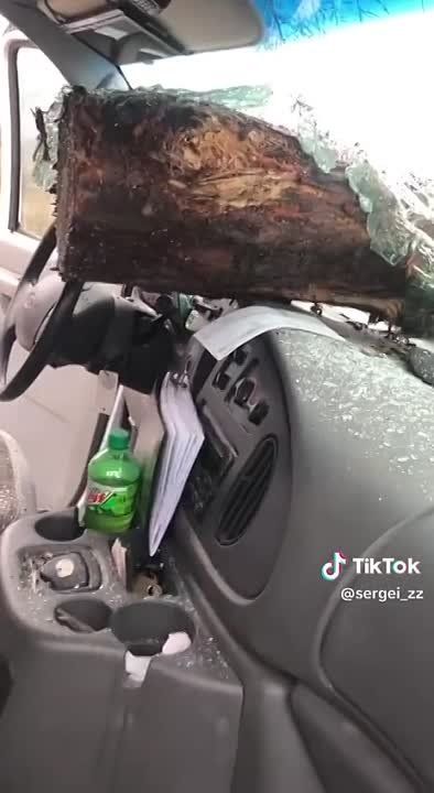 ����� �� ���. ������, ���� �������� �� ������� ������ �����������. �� ������, ��� ���� ����� � ���������� ���������� ��� �����������