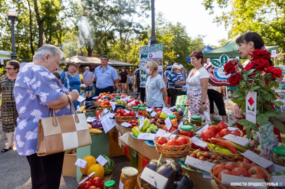 ������� ����� ���� � ������� �#�����������������������