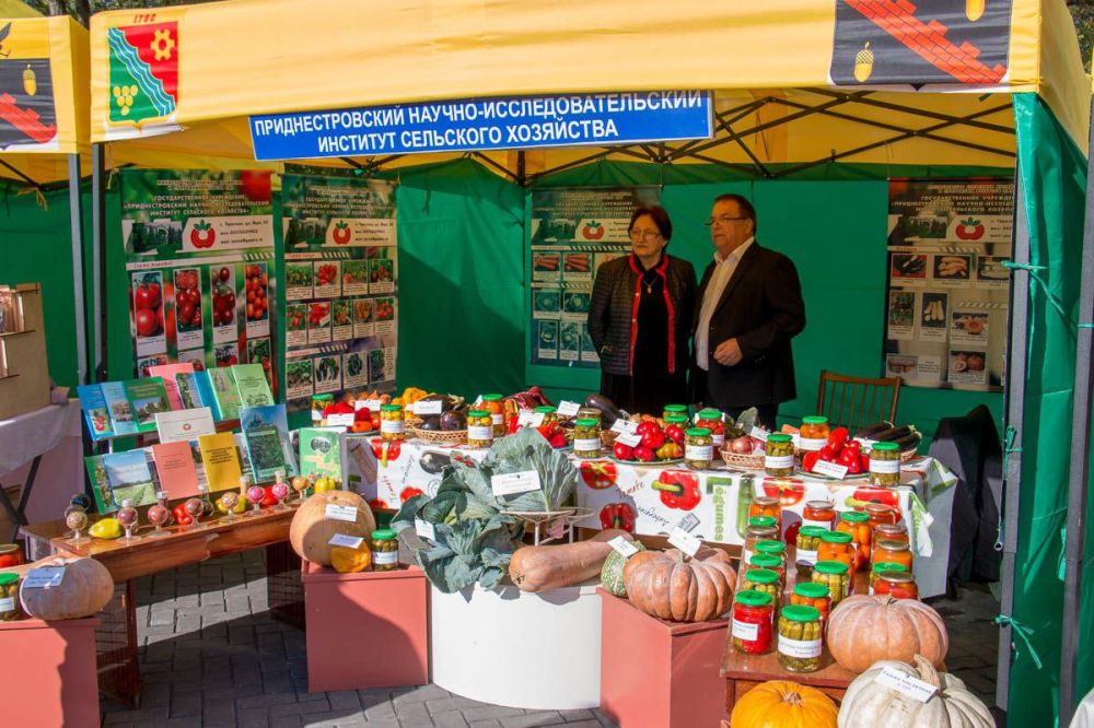 ��� ���� ������� � ��� ��������������������: ������� �������� ��������-�������, ������� ����� ������ ����������� ������������