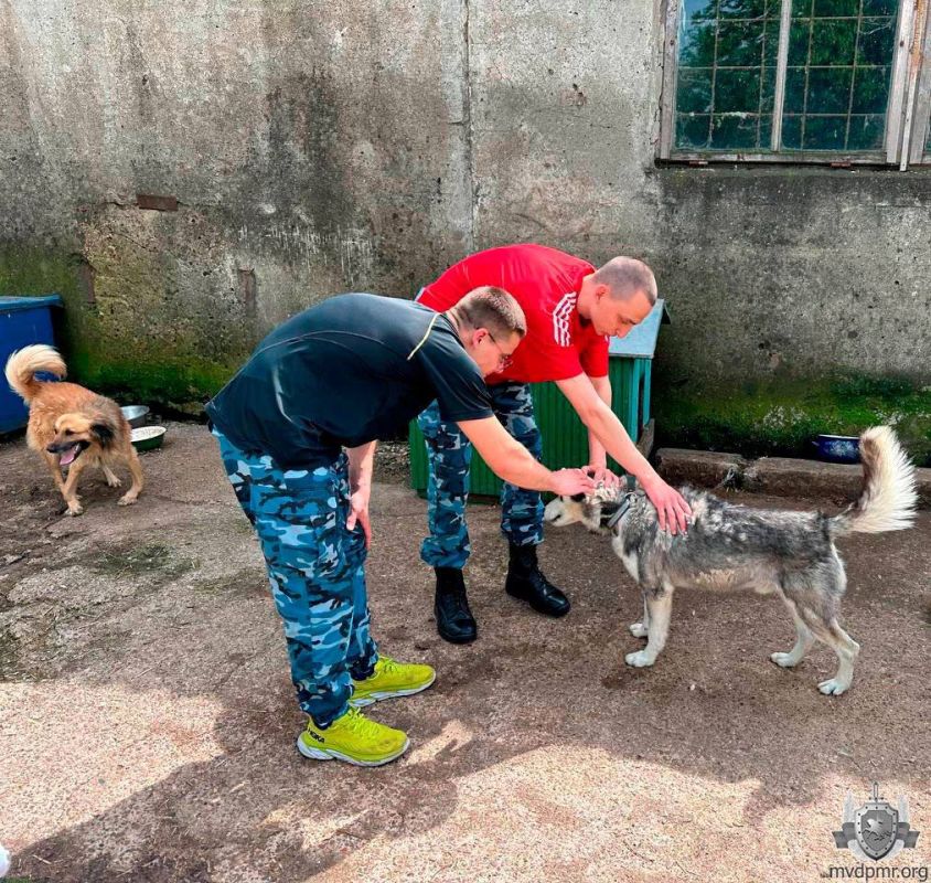 ������ �����, ����� ����� ������