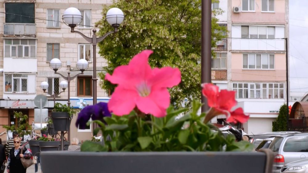 ���������� ����������� ��������� �������������� ������, ������� ���������� � ������ ������