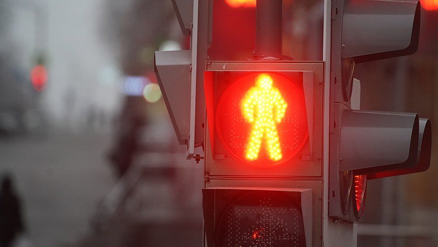 ����� ������ ����������