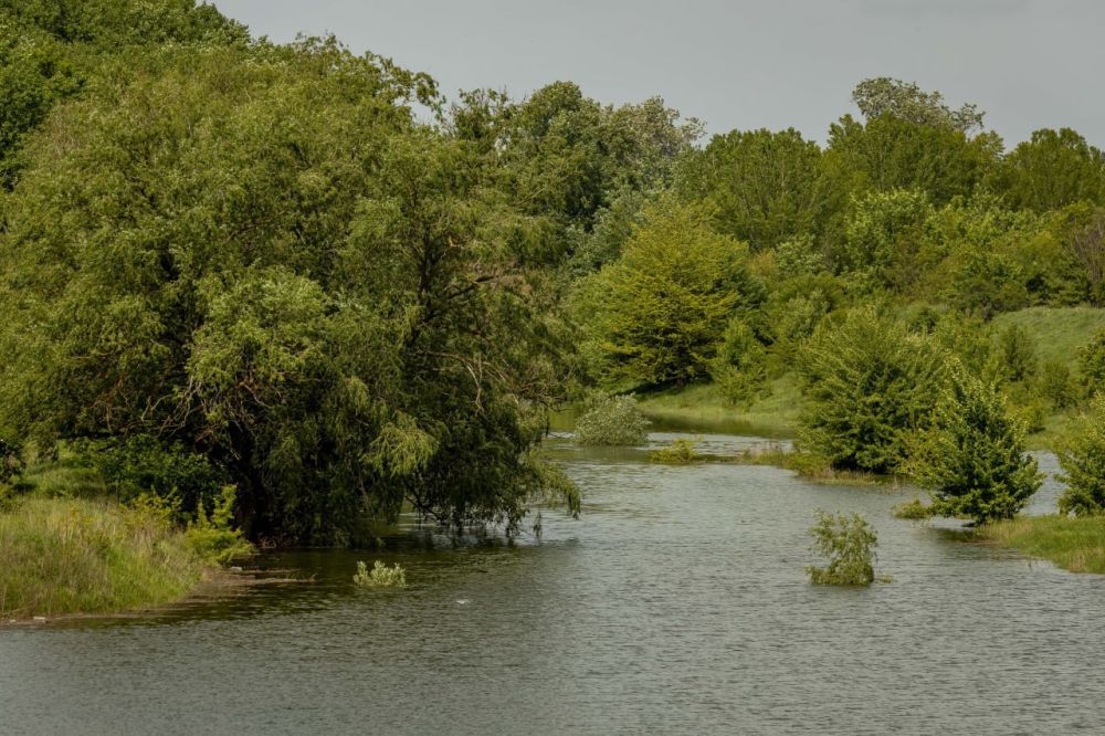 ���� �����. "������� ����"