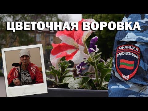 � �������� ��������� ��������-����������