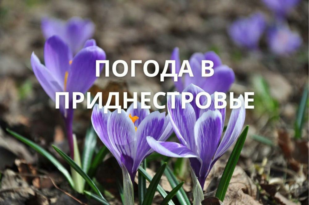 28 ������ ��������� ���������� ����������, ��� �������