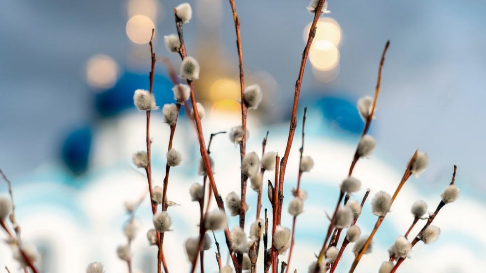 � ������������ �������� ������� ������� �������� � ������� ����������� ��� ���� ��������� � ���������